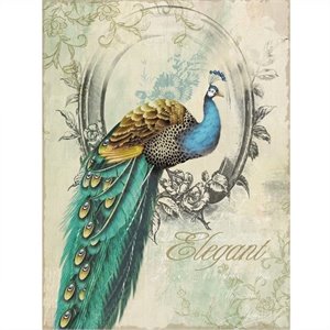 yosemite artwork - peacock poise i