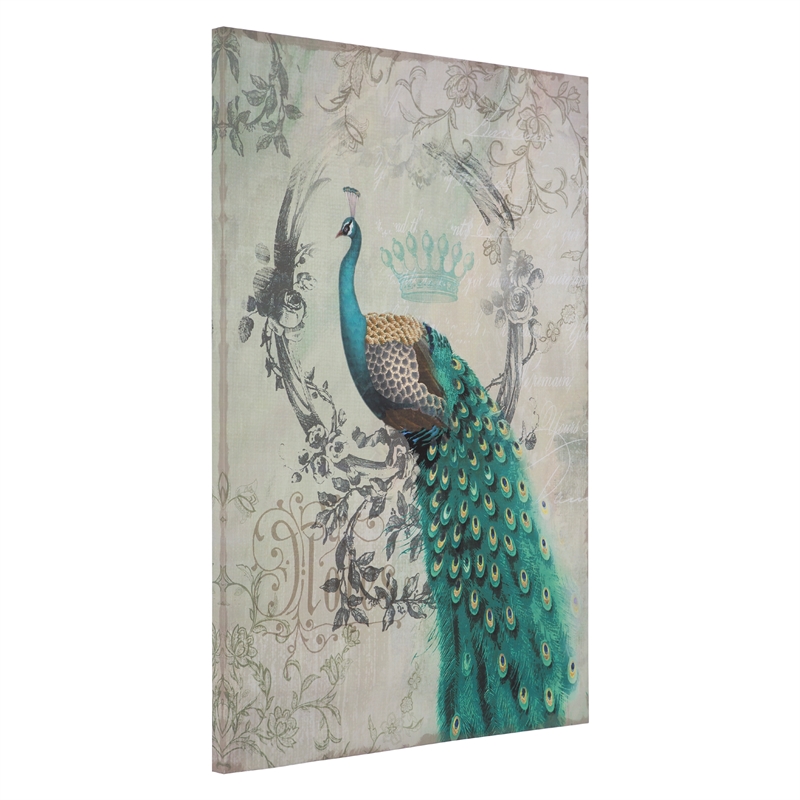 Yosemite Artwork Left Facing Peacock Poise II Print on Canvas in Multi-Color