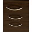 BBF Series C Engineered Wood Computer Desk with Mobile Pedestal in Mocha Cherry