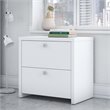 Echo 2 Drawer Lateral File Cabinet in Pure White - Engineered Wood