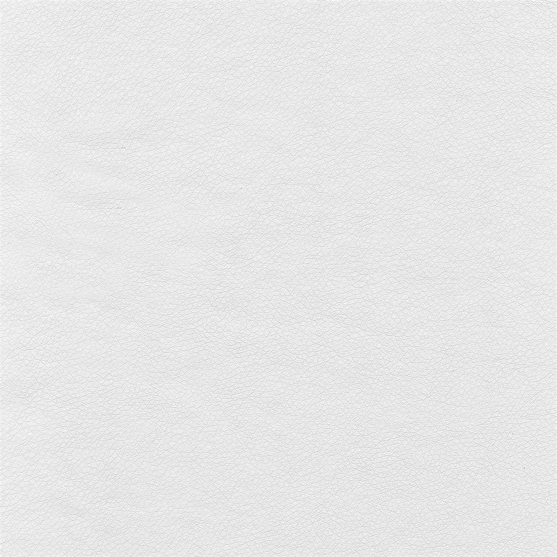 Bush Business Furniture Modelo High Back Leather Executive Office Chair in White