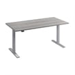 Move 60 Series 60W Adjustable Standing Desk in Platinum Gray - Engineered Wood