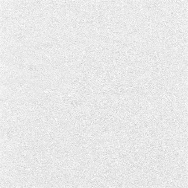 Echo Mid Back Leather Desk Chair in White