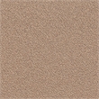 Bush Business Furniture ProPanels Wall Starter Kit in Taupe