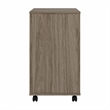 Studio C 2 Drawer Mobile File Cabinet in Modern Hickory - Engineered Wood