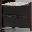 Hybrid 2 Drawer Mobile File Cabinet in Black Walnut - Engineered Wood