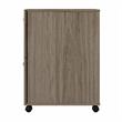 Hybrid 2 Drawer Mobile File Cabinet in Modern Hickory - Engineered Wood