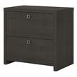 Echo 2 Drawer Lateral File Cabinet in Charcoal Maple - Engineered Wood