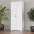 Studio C 29W Tall 2 Door Storage Cabinet in White - Engineered Wood