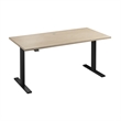 Move 60 Series 60W Adjustable Standing Desk in Natural Elm - Engineered Wood