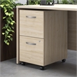 Studio C 2 Drawer Mobile File Cabinet in Natural Elm - Engineered Wood