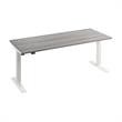 Move 40 Series 72W Adjustable Standing Desk in Platinum Gray - Engineered Wood