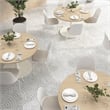 Gather Set of 2 Stackable Cafe Chairs w/ Upholstered Seats in White/Oat Fabric