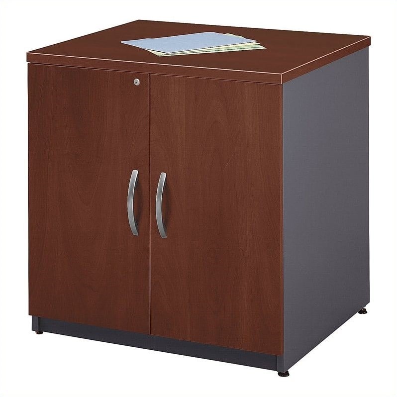 Series C 30W Storage Cabinet in Hansen Cherry - Engineered Wood