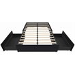 DHP Maven Faux Leather Upholstered Queen Platform Storage Bed in Black