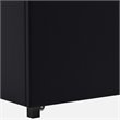 DHP Maven Faux Leather Upholstered Queen Platform Storage Bed in Black