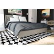 Novogratz Her Majesty Upholstered Queen Panel Bed in Gray