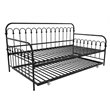 Novogratz Bright Pop Twin Metal Daybed with Roll Out Trundle in Black