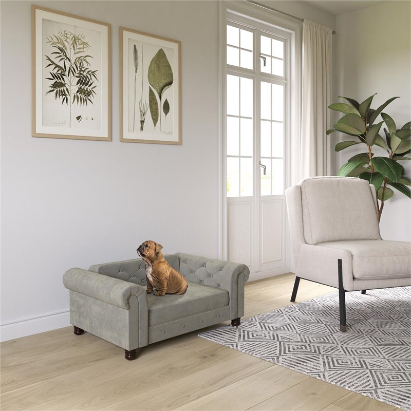 gray dog sofa