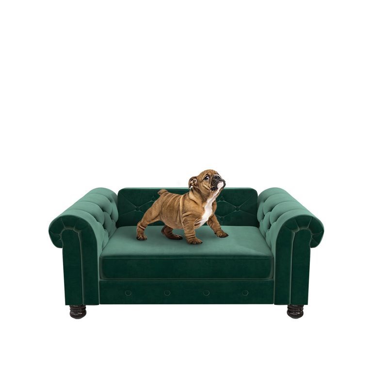 dog sofa medium