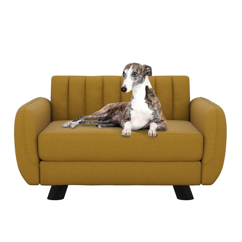 dog sofa medium