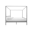 Novogratz Marion King Canopy Bed in Gunmetal Grey