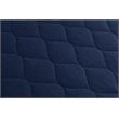 DHP Dana 6 Inch Quilted Twin Mattress with Removable Cover in Blue