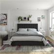 CosmoLiving by Cosmopolitan Elizabeth Upholstered Bed Queen in Black Velvet