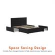 CosmoLiving by Cosmopolitan Elizabeth Upholstered Bed Queen in Black Velvet
