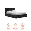 CosmoLiving by Cosmopolitan Elizabeth Upholstered Bed Queen in Black Velvet
