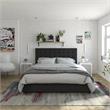 CosmoLiving by Cosmopolitan Elizabeth Upholstered Bed Queen in Black Velvet