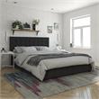 CosmoLiving by Cosmopolitan Elizabeth Upholstered Bed Queen in Black Velvet