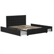 CosmoLiving by Cosmopolitan Elizabeth Upholstered Bed Queen in Black Velvet