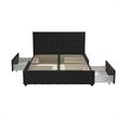 CosmoLiving by Cosmopolitan Elizabeth Upholstered Bed Queen in Black Velvet