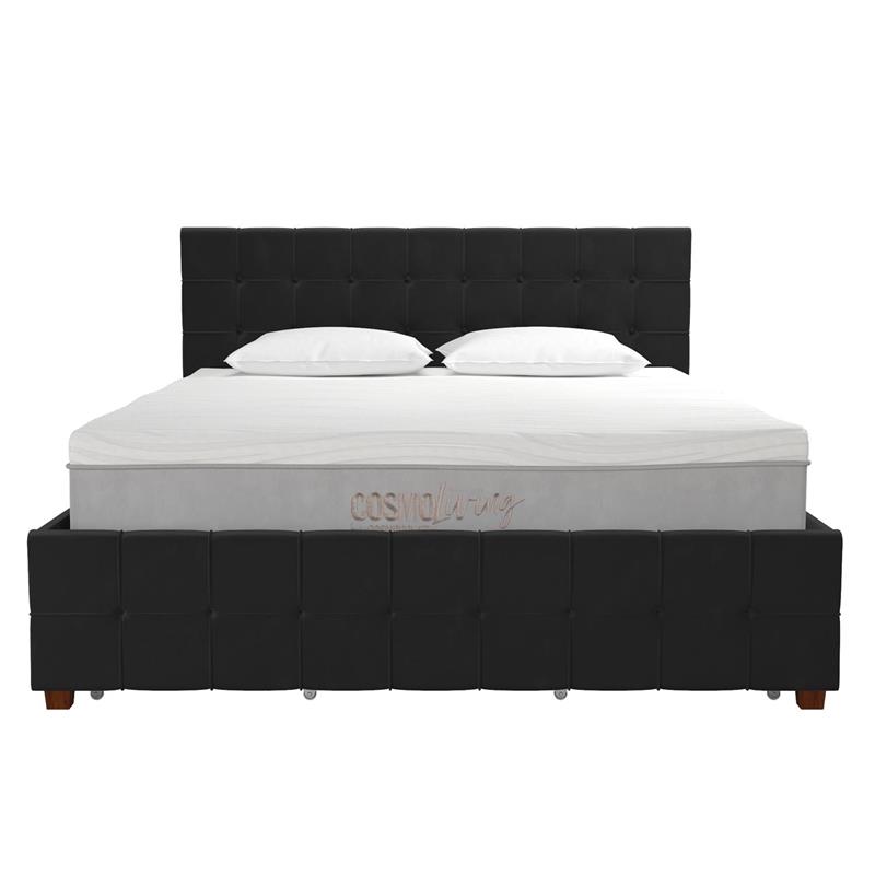CosmoLiving by Cosmopolitan Elizabeth Upholstered Bed Queen in Black Velvet