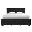 CosmoLiving by Cosmopolitan Elizabeth Upholstered Bed Queen in Black Velvet