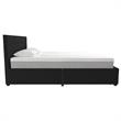 CosmoLiving by Cosmopolitan Elizabeth Upholstered Bed Queen in Black Velvet