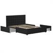 CosmoLiving by Cosmopolitan Elizabeth Upholstered Bed Queen in Black Velvet