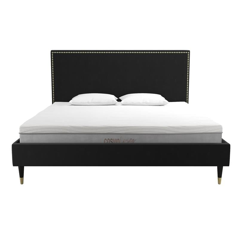 CosmoLiving by Cosmopolitan Audrey Upholstered Bed King in Black Velvet