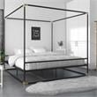 CosmoLiving Celeste Canopy Metal Bed King Size Frame in Black/Gold