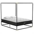 CosmoLiving Celeste Canopy Metal Bed Queen Size Frame in Black/Gold