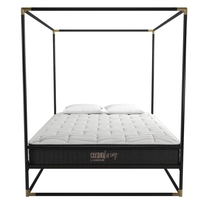 CosmoLiving Celeste Canopy Metal Bed Queen Size Frame in Black/Gold