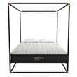 CosmoLiving Celeste Canopy Metal Bed Queen Size Frame in Black/Gold