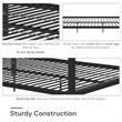 DHP Modern Metal Canopy Poster Bed in Queen in Black