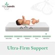 Little Seeds Moonlight Twinkle Standard Firm Baby Crib & Toddler Bed Mattress