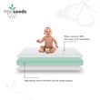 Little Seeds Moonlight Twinkle Standard Firm Baby Crib & Toddler Bed Mattress