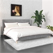 Novogratz Holly Upholstered Wingback Bed Frame King Light Gray Velvet