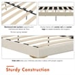 CosmoLiving by Cosmopolitan Coco Upholstered Bed in Queen in Ivory Velvet