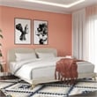CosmoLiving by Cosmopolitan Coco Upholstered Bed in King in Ivory Velvet