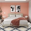 CosmoLiving by Cosmopolitan Coco Upholstered Bed in King in Ivory Velvet